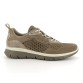 Zapatilla Igi&Co 1612000 Taupe Hombre 